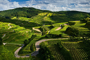 Mountain Fields, fields, beautiful, mountains HD wallpaper