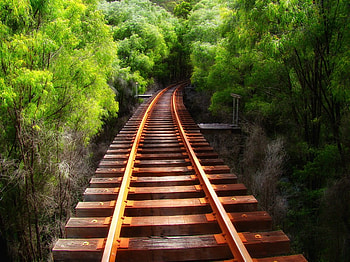 R&R TO NO WHERE!!!!!!!!!!, trees, tracks, train, nowhere HD wallpaper