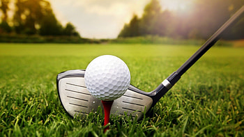 Golf - afari HD wallpaper