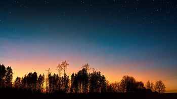 A serene sunset with starry sky above silhouetted trees, perfect for backgrounds. HD wallpaper