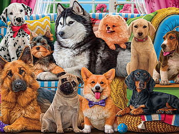 True Friends, dogs, flowers, baske, window, digital HD wallpaper