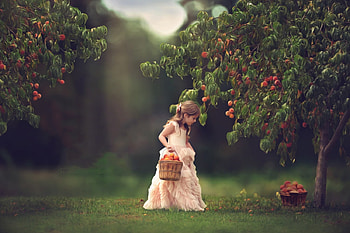 little girl, childhood, blonde, graphy, cute, baby, beauty, kid, adorable, sweet, white, girl, grass, tree, little, Fruit, pink, green, face, lovely, pure, child HD wallpaper