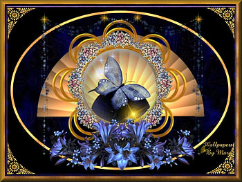 Butterfly Aglow, butterflies, globes, flowers, fans HD wallpaper