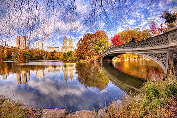Central Park, Autumn, Daniel Portalatin, Background HD wallpaper