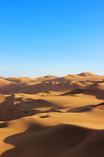 Nature, Sand, Desert, Hills, Dunes, Links HD phone wallpaper