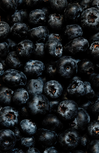 Food, Bilberries, Berries, Ripe, Fresh HD phone wallpaper