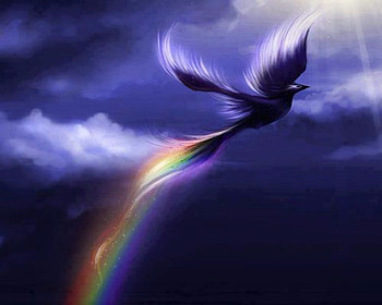 Rainbow Bird, Animals, Bird, phoenix, Clouds, Sky, Rainbow HD wallpaper