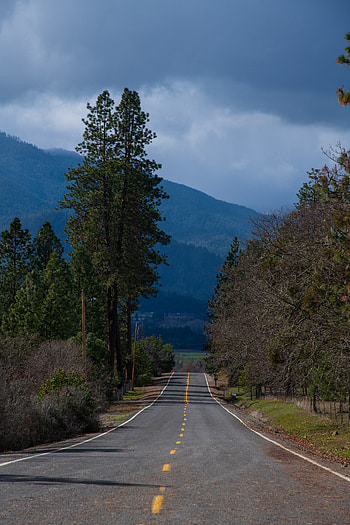 Landscape, Nature, Trees, Mountains, Road HD phone wallpaper
