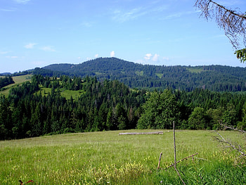 Landscape, Trees HD wallpaper