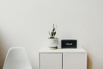 Radio, Miscellanea, Miscellaneous, Minimalism, Cactus, Bedside Table HD wallpaper