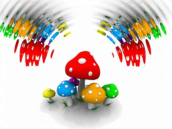 Colorful mushrooms, colorful, abstract, mix, mushroom HD wallpaper