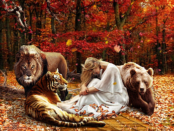 Wild Autumn, tiger, bear, animals, trees, girl, lion, wild, foliage HD wallpaper