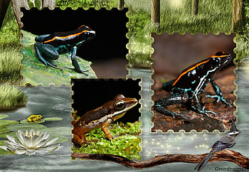 THREE CUTE FROGS, CUTE, FROGS, THREE, COLLAGE HD wallpaper