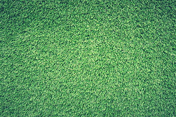 Vibrant green grass texture perfect for nature and background designs. HD wallpaper