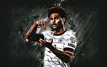 Serge Gnabry, Germany national football team, German football player, midfielder, portrait, gray stone background, Germany, football HD wallpaper