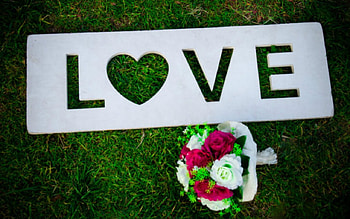 Love, words, grass, flowers HD wallpaper