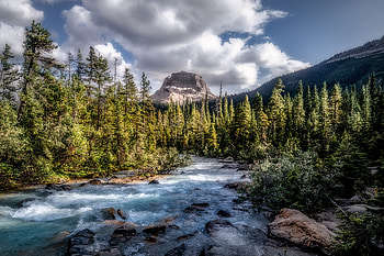 Nature, Rivers, Mountains, Forest, Flow, Stream HD wallpaper