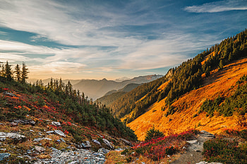 Landscape, Nature, Trees, Relief, Hill HD wallpaper