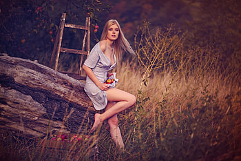 Apple Picker, ranch, dress, blondes, cowgirls, apples, picking HD wallpaper