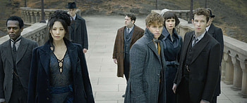 Nagini, Fantastic Beasts, Crimes of Grindelwald, Details HD wallpaper