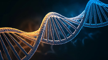Stunning Double Helix - Ultra, double helix, DNA Structure, genetics, science HD wallpaper