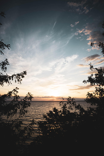 Nature, Sunset, Sky, Sea, Horizon, Branches HD phone wallpaper