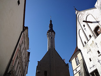 Tallinn Town Hall, Town buildings, The lady travels HD wallpaper