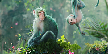 Monkeys, alexpi, fantasy, green, cute, maimuta, ar, alex pi, monkey, baby, mother HD wallpaper