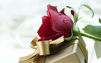 Gifts HD wallpaper