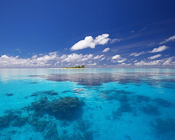 Island Shore, sea, island, clear water, ocean HD wallpaper