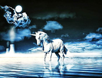 Unicorn In Water, unicorn, horses, water, animals HD wallpaper
