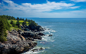 Bay of Fundy, New Brunswick, Canada, rocks, coast, sea, clouds, trees, sky HD wallpaper