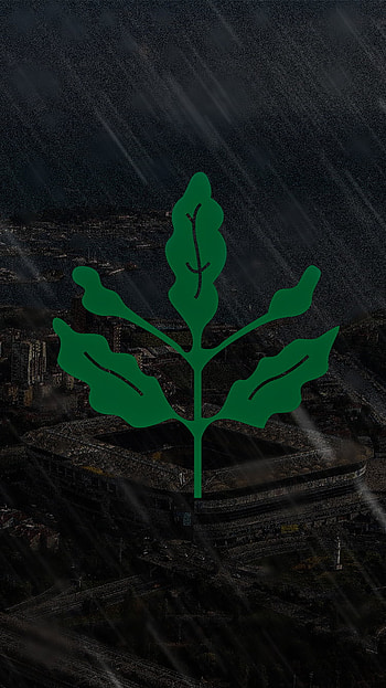 Fenerbahçe, fener, rain, alex, sukru_saracoglu, fener_stadi, kadikoy, fenerbahce, fb HD phone wallpaper