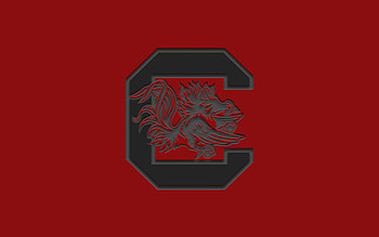 South Carolina Gamecocks, Burgundy background, American football team, Logo emblem HD wallpaper