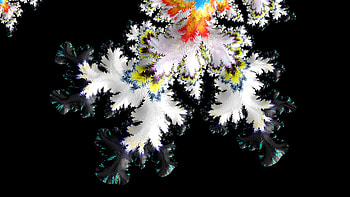 Trippy Psychedelic Fractal, colorful, colors, black, white, Abstract, fractal, abstract black HD wallpaper