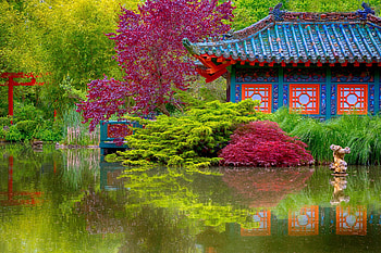 Tranquil pond, relax, serenity, tranquil, reflection, trees, greenery, water, pond, Asia, beautiful, shrubs, lake, park, pretty, treatment, spa, forest HD wallpaper