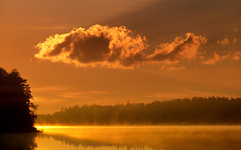 Nature, Trees, Clouds, Dawn, Lake, Fog, Morning HD wallpaper