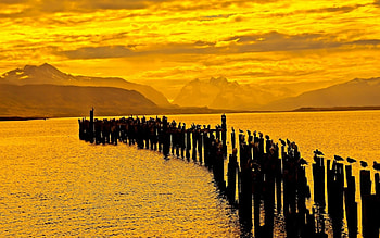 Golden Sunrise, golden, birds, landscape, nature, mountains, lake, evening, sunrise HD wallpaper