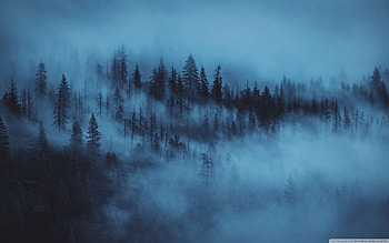 Aesthetic, Twilight Aesthetic HD wallpaper