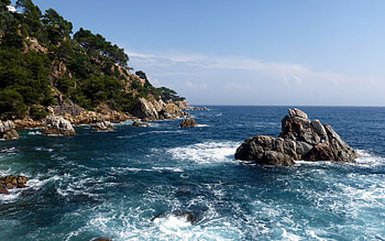 Sea, Nature, Trees, Stones, Rocks, Horizon, Shore, Bank, Force, Strength, Foam, Cuts HD wallpaper