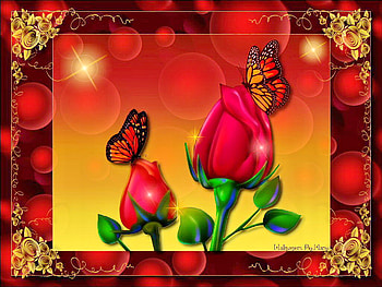 Roses and wings, butterflies, abstract, roses, red, flowers, spring HD wallpaper