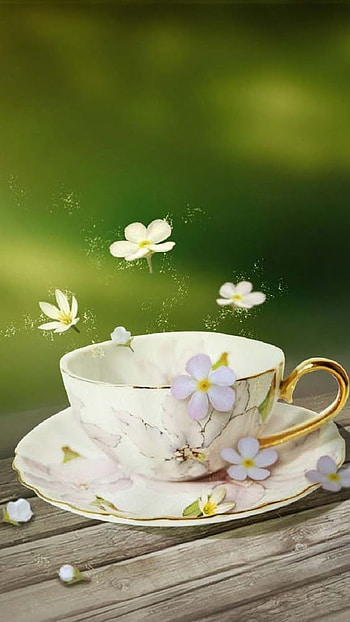 Good Morning, Morning HD phone wallpaper