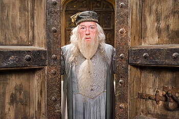 Dumbledore, Michael Gambon, Famous, Harry Potter HD wallpaper
