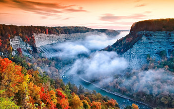 Foggy Sunrise, river, New York, canyon, morning mist, autumn, beautiful, forest HD wallpaper