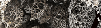 Skeleton, Abstract, 3D HD wallpaper