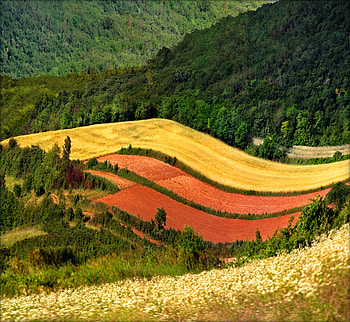 Mosaic, fullcolour, field, beautiful, hill HD wallpaper