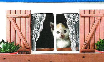 Calico kitten looking out of window, kitten, window, calico, cute, lace, feline HD wallpaper