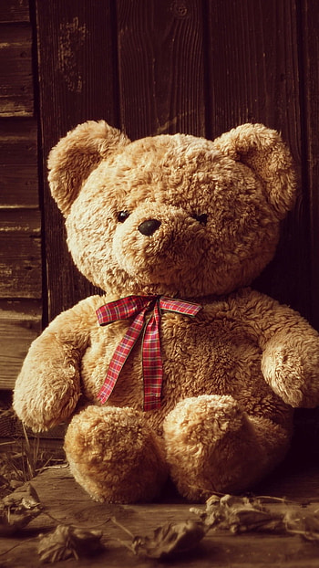 Teddy Bear Ka, Alone HD phone wallpaper