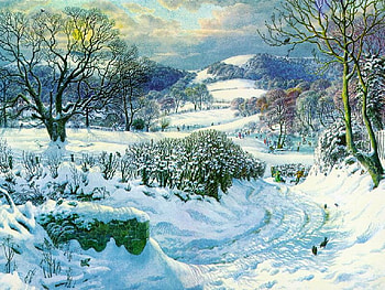 Winter, snow, nature, village, tree HD wallpaper