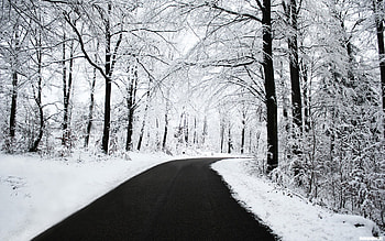 Landscape, Winter, Roads HD wallpaper